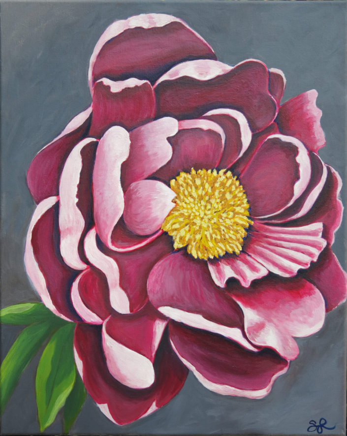 Acrylic on Canvas - Peony flower study
